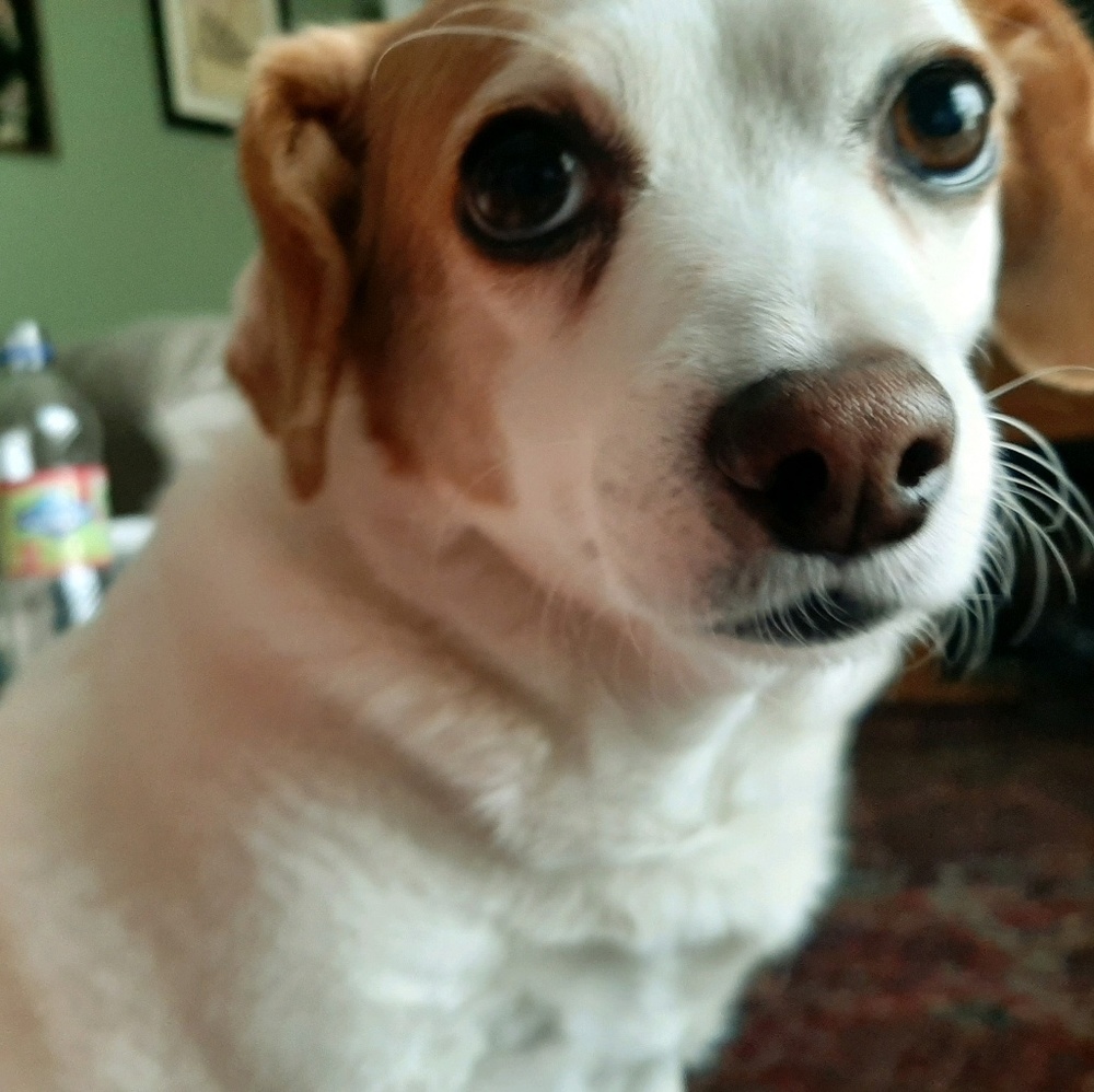 Meet your Posher, Kimberly